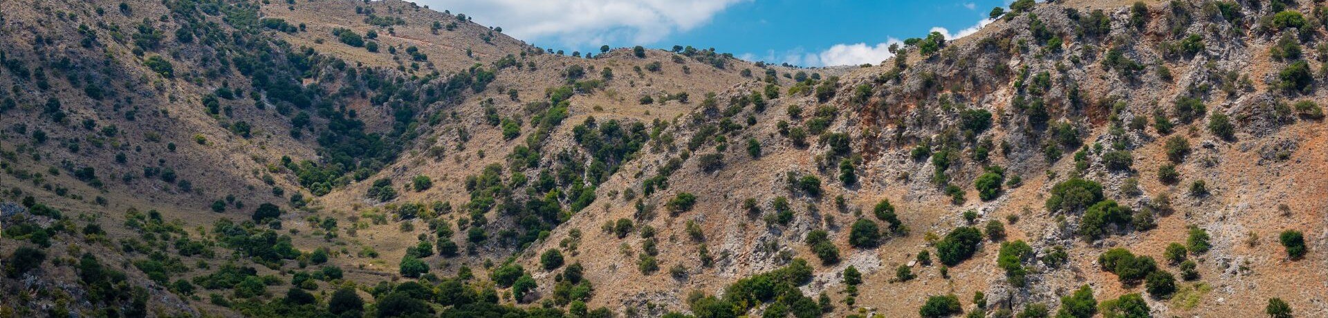 Cretan Traditions